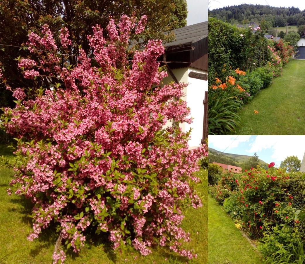 Homestay Goscinne U Renaty Szczyrk